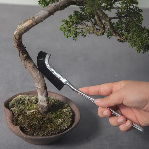 Vista 4 de Wazakura Cepillo De Cabeza Curva Bonsai Hecho En Japón 9-1/4inch(235mm) - Negro