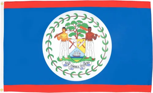Vista 34 de AZ FLAG - Bandera de Anguila - 3x5 pies - Poliéster ligero Anguillano - Banner británico con dos ojales de latón - Resistente a la decoloración