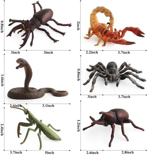 Vista 2 de Juego de 6 figuras realistas de insectos variados realistas, figuras de insectos modelo de insectos, regalo temático de insectos de Halloween, juego