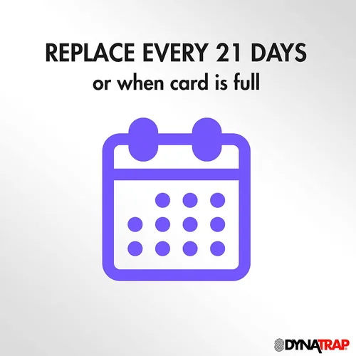Vista 12 de Dynatrap DOT StickyTech - Tarjetas de pegamento de repuesto, paquete de 6