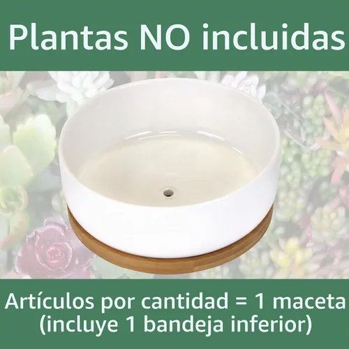 Vista 3 de BambooMN Macetas de cerámica para suculentas, 1 maceta, cuenco redondo, con bandeja de bambú, color blanco, 6.49 pulgadas