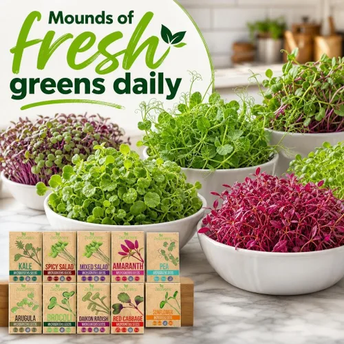Vista 7 de Microgreen Seeds - Paquete de 10 semillas variadas premium de Estados