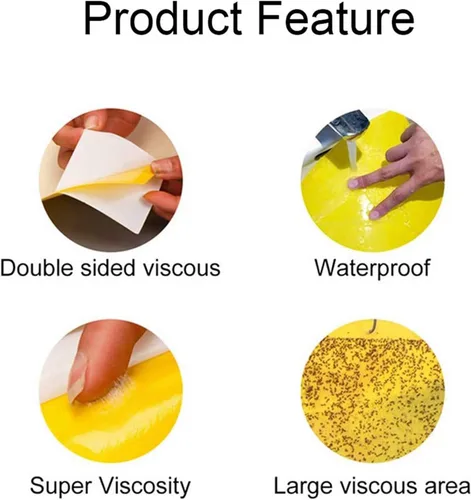 Vista 2 de Trapro trampas adhesivas amarillas para insectos voladores, para mosquitos de los hongos, áfidos, moscas blancas, minadores, arañuelas y otros