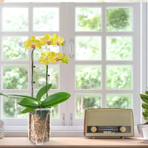 Vista 5 de Juego de 6 macetas de orquídea de 14 cm, macetas de orquídea para trasplante, macetas de orquídea transparentes de plástico con agujeros, maceta