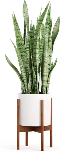 Vista 8 de Fox & Fern - Soporte moderno de medio siglo para maceta, sin maceta de cerámica blanca Plug In Design, Holds 175 lbs, Two High Options, Fixed