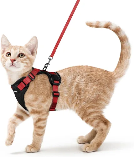 Vista 57 de rabbitgoo Cat Harness and Leash Set, Escape Proof Vest, XXS, Berry Pounce Soft Breathable Mesh, No-choke Adjustable Fit, Snap Buckles, Sturdy