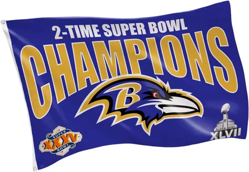 Vista 8 de Bandera de casa al aire libre duradera de 3 x 5 pies de los Arizona Cardinals de la NFL con ojales Bandera y cartel del equipo deportivo Bandera