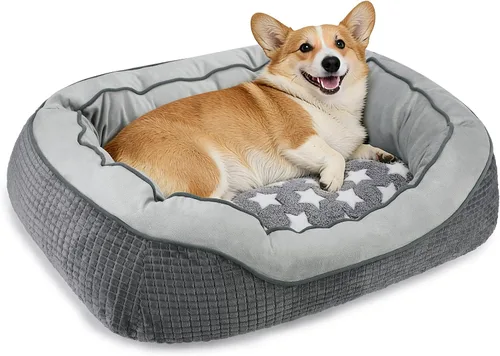 Vista 20 de Camas para perros y gatos pequeños, medianos y grandes. Cama lavable para mascotas, sofá cama ortopédica para perros, cama suave y calmante