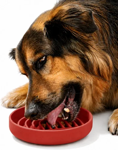 Vista 26 de Should We Go? Alimentador lento para perros y gatos, el tazón Slowdown de silicona, solución para comer lentamente con diseño moderno de alfombrilla