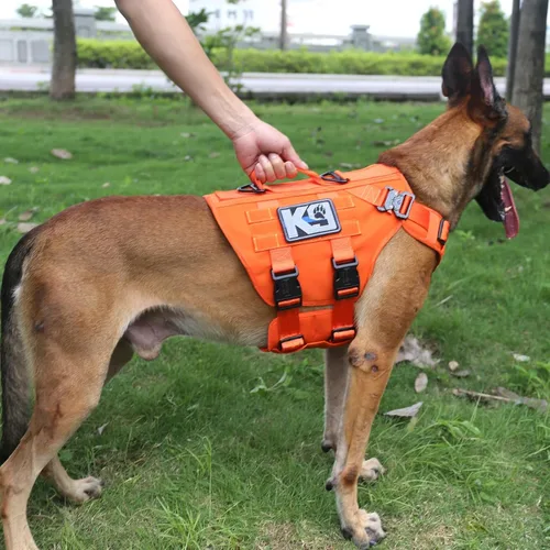 Vista 3 de ICEFANG GN3 - Arnés táctico para perros con 6 hebillas, chaleco Molle con asa, cobertura de 3/4 del cuerpo, panel de gancho y bucle para parche