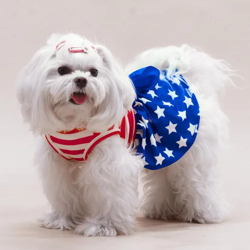 Vista 7 de PUPTECK Vestido estampado para perro, ropa para mascotas para el 4 de julio con lindo corbatín para cachorros, bandera, XS Estilo americano