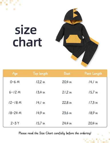 Vista 3 de FoWear Ropa de bebé niño para otoño e invierno, sudadera con capucha de manga larga y pantalones, 2 piezas