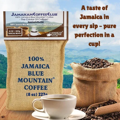 Vista 3 de JamaicanCoffeeClub 100% Blue Mountain - Café en grano entero, WB 8 onzas de granos tostados jamaicanos, sabor rico y suave, granos gourmet