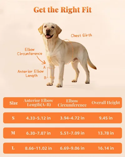 Vista 2 de Petanims Soporte de pierna delantera para perro, soporte de rodilla/carpalo/muñeca para perros, codo ajustable con soporte para el hombro, protector