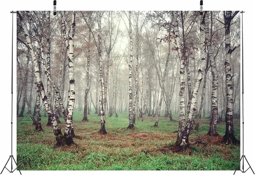 Vista 2 de Telón de fondo de tela de 5 x 3 pies con temática de bosque natural, fotografía, árbol de abedul, jungla verde hierba, fondo de paisaje de verano