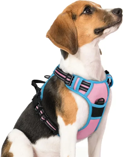 Vista 111 de Rabbitgoo - Arnés para perros sin tirón con 2 clips de correa, chaleco Oxford reflectante acolchado suave ajustable sin estrangulamiento