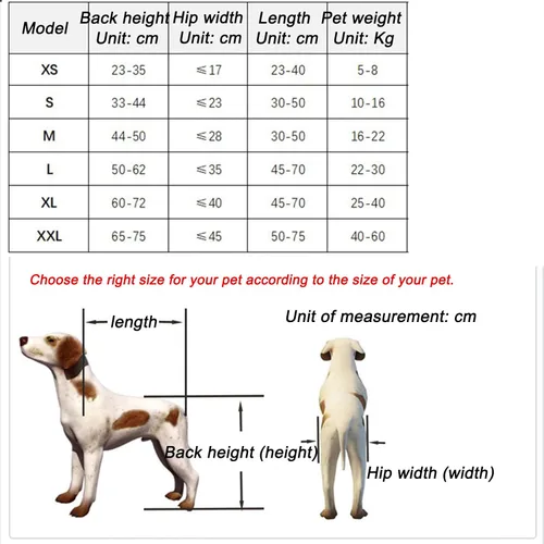 Vista 2 de Silla de ruedas para perros para patas traseras, silla de ruedas ajustable para perro, silla de ruedas para mascotas con patas, suministros