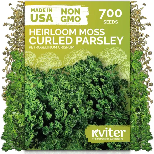 Vista 23 de KVITER 1000 semillas de quinua de cordero (Chenopodium Album) - Hierbas comestibles autóctonas, ideales para jardines de hierbas orgánicas