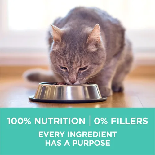 Vista 8 de Purina ONE Estómago sensible, piel sensible, alimento seco natural para gatos, fórmula +Plus para piel y estómago sensible, bolsa de 7 libras