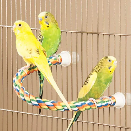 Vista 4 de Percha para pájaros de Booda, 21", Multicolor