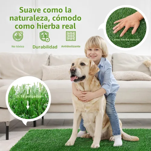 Vista 6 de LOOBANI - Almohadillas de césped para que los perros orinen, césped artificial, repuesto de césped artificial para orinal de cachorros