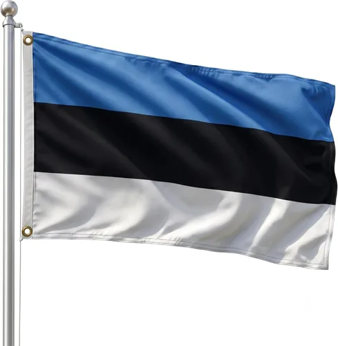 Vista 31 de DMSE - Bandera nacional beninesa beninesa de la República de África Occidental, 2 x 3 pies, 100 % poliéster, 100 % poliéster, resistente a los rayos