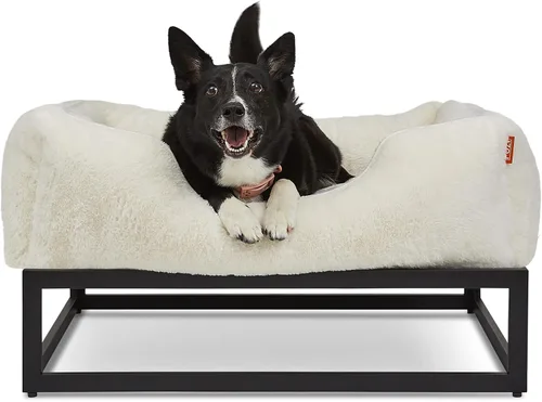 Vista 25 de FUZI Cama elevada para perro, camas elevadas de lujo para perros, funda extraíble y lavable a máquina, cama ortopédica para mascotas para interiores
