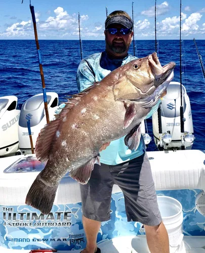 Vista 7 de Fitzgerald Stunner HD Saltwater Offshore Spinning Rod Series Pesca Pesca Pesca