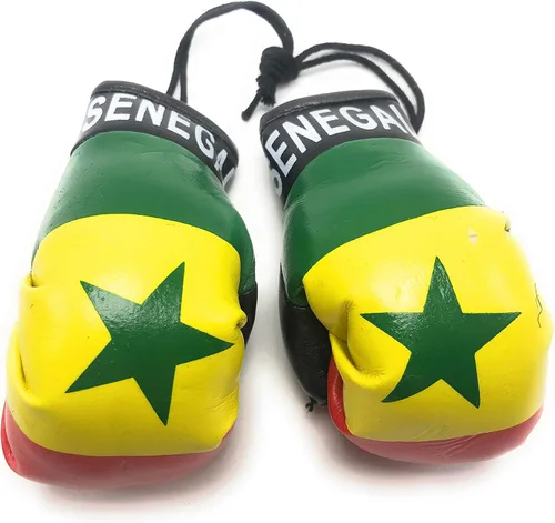 Vista 37 de Mini guantes de boxeo para colgar en el espejo del coche (Camerún)