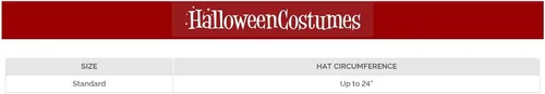 Vista 3 de elope Harry Potter Professor McGonagall Costume Hat