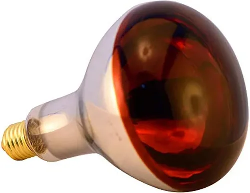 Vista 5 de Bombilla de calor R115 de 125 W, paquete de 2 bombillas de vidrio infrarrojo para servicio de alimentos, bombilla de criador, pollitos, mascotas
