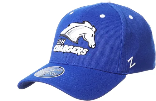 Vista 86 de ZHATS - Sombrero ajustado elástico para hombre de la NCAA, color del