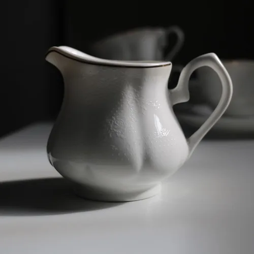 Vista 4 de GuangYang Juego de 15 piezas de té de porcelana para adultos, patrón blanco roto en relieve con ribete dorado