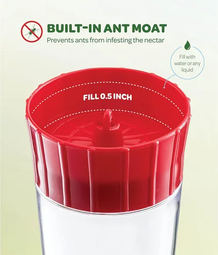 Vista 4 de Comedero para colibríes de 10 onzas, paquete de 2, comederos de vidrio para colibríes para exteriores, con protector de hormigas integrado, percha