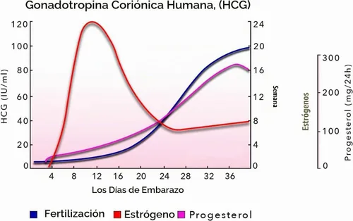 Vista 4 de 20 tiras de prueba de embarazo para detección temprana 10 MIU/ml-Ancho de 0.197 in Prueba casera