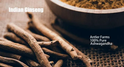 Vista 4 de Antler Farms Extracto de raíz de Ashwagandha y raíz de Ashwagandha 100% puro, 130 cápsulas, 1200 mg – Estandarizado al 5% de withanólidos, mejora