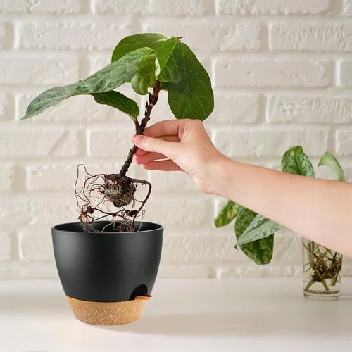 Vista 6 de Macetas de riego automático con orificio de drenaje, macetas para plantas de flores para interiores y exteriores, macetas de plástico negro