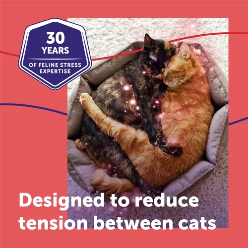 Vista 4 de FELIWAY MultiCat - Kit de difusor calmante para gatos y 6 paquetes de recambio, ayuda a reducir la lucha, la tensión y la agresión entre gatos