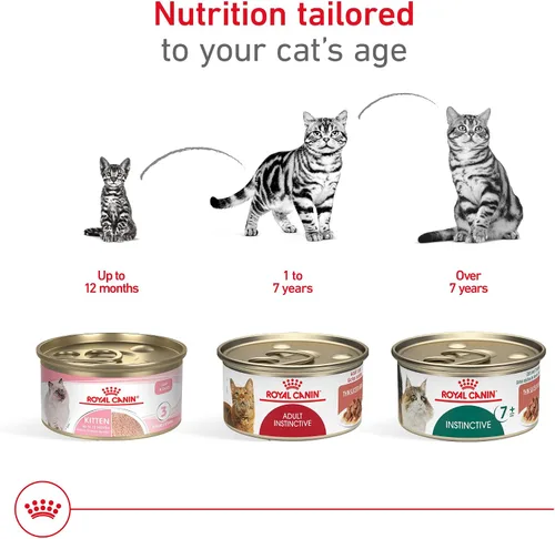 Vista 6 de Royal Canin Feline Health Nutrition - Alimento instintivo para adultos, rebanadas finas en salsa para gatos, 3 onzas (paquete de 18)