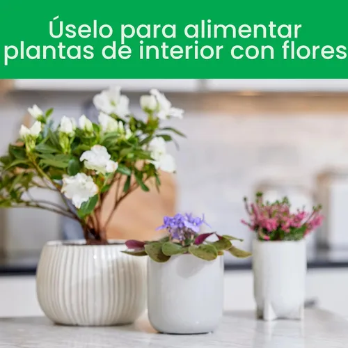Vista 6 de Miracle-Gro Blooming Houseplant Food, 8 fl. oz. Fertilizante para plantas