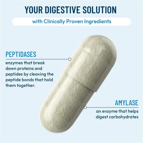 Vista 3 de NUU3 Gut Health 365 - Enzimas digestivas y suplemento probiótico para mujeres y hombres - Hinchazón y alivio de la digestión - Apoya el microbioma