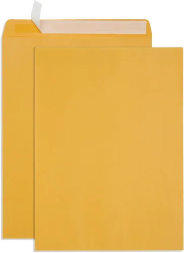 Vista 8 de Blue Summit Supplies 100 sobres de catálogo Kraft de 6 x 9 pulgadas, autosellados Kraft marrón dorado, autosellado, sin ventana, para enviar