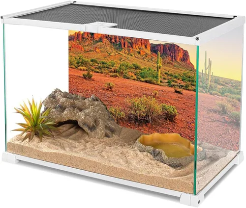 Vista 3 de AWERT 24x12 pulgadas Reptil Hábitat Fondo Cielo Oasis Montaña Cactus Sol y Desierto Terrario Fondo Poliéster Duradero
