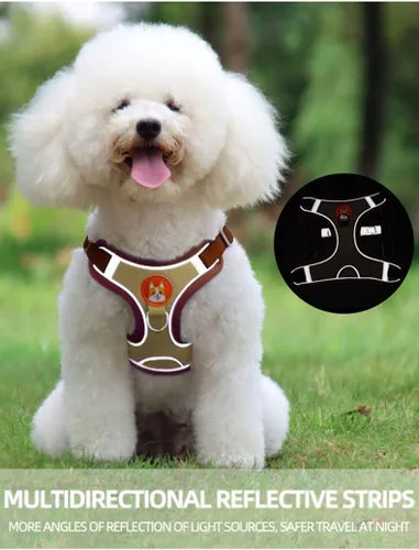Vista 4 de Arnés para perros, chaleco y correa antiescape para el pecho de gato, collar para mascotas para razas pequeñas, accesorios para perros, bulldog