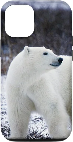 Vista 28 de Polar Bears Animal Nature Case for iPhone 17