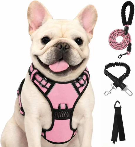 Vista 39 de FURRYFECTION - Arnés para perro a cuadros con correa y cinturón de Rosa