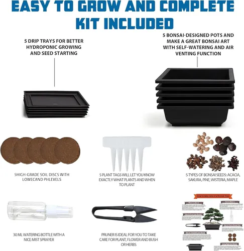 Vista 2 de Kit de inicio de Bonsái Sproutix, 5 semillas que crecen en Acacia, Glicinia, Sakura, Arce Rojo y Pino Negro, Incluye herramientas de jardinería