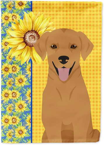 Vista 121 de Caroline's Treasures WDK5313GF Bandera de jardín con diseño de girasoles de verano, color negro y tostado, Airedale Terrier para buzón, bandera