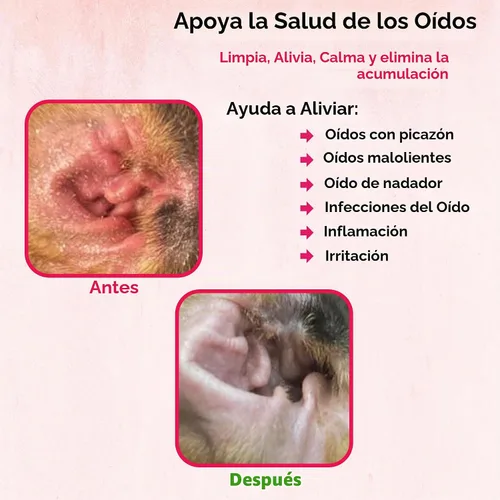 Vista 5 de Truseb Advanced - Lavado Tópico de Oídos para Perros con Ketoconazol y Clorhexidina para Perros, Gatos y Caballos, con Aloe - 12 oz Hecho en EE.UU.