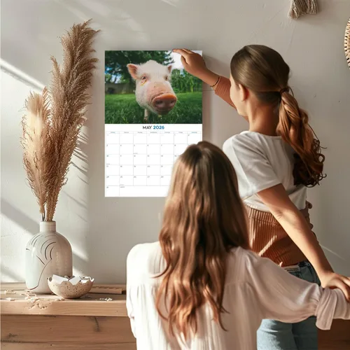 Vista 90 de Calendario de grises africanos 2025 2026 – Planificador mensual de pared de aves africanas – 12 x 18 pulgadas (abierto), calendario de pared